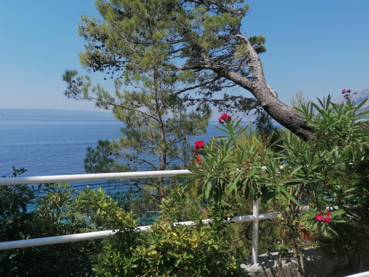 Apartmani Mares - 20 M From The Beach Brela Esterno foto
