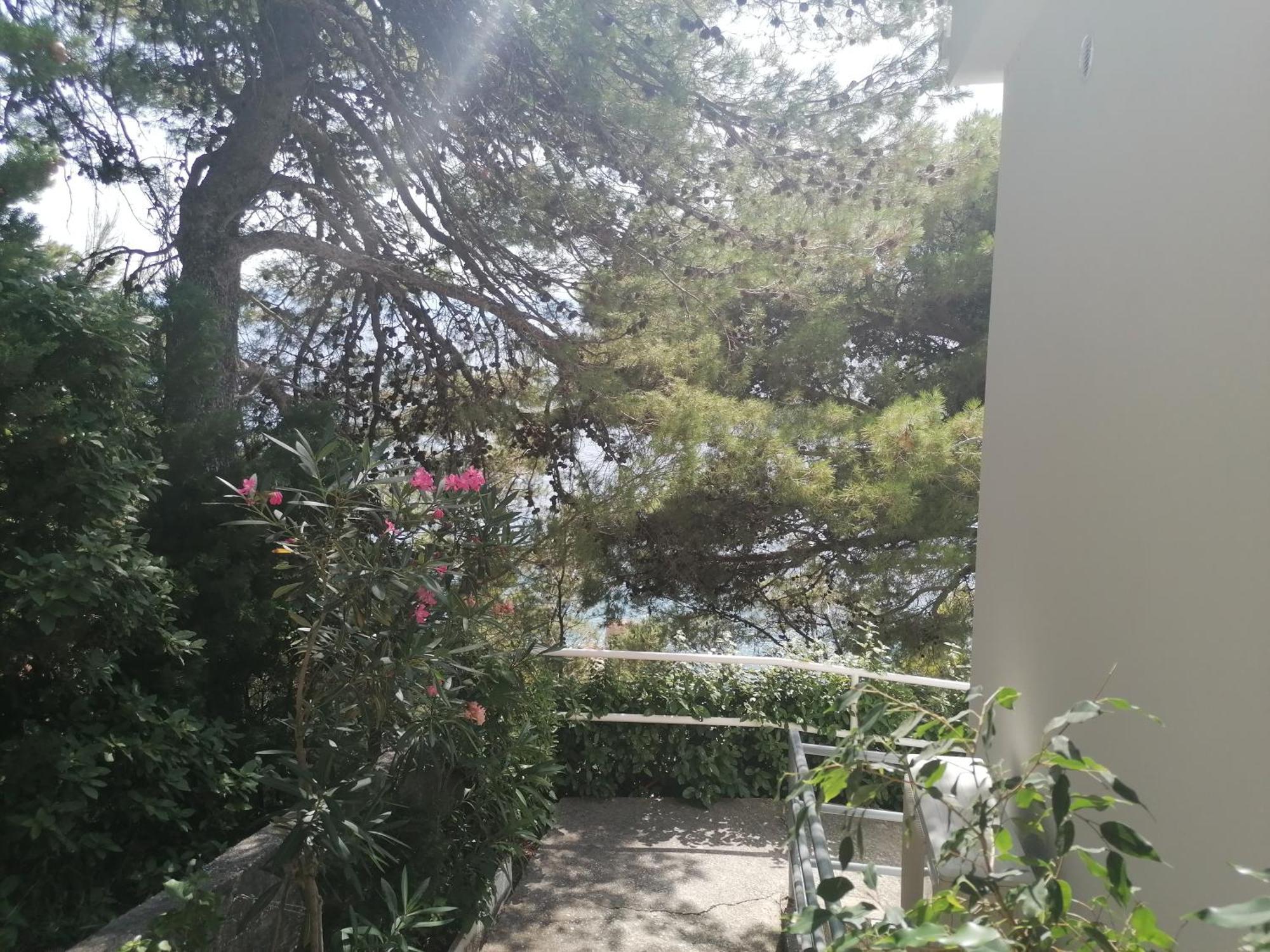 Apartmani Mares - 20 M From The Beach Brela Esterno foto